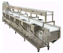 雙層6工位挑選輸送線